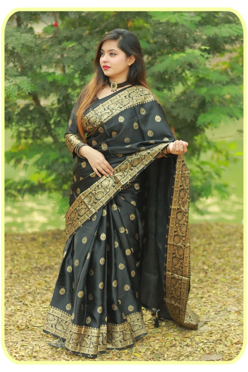 রয়্যাল ব্লাক শাড়ি